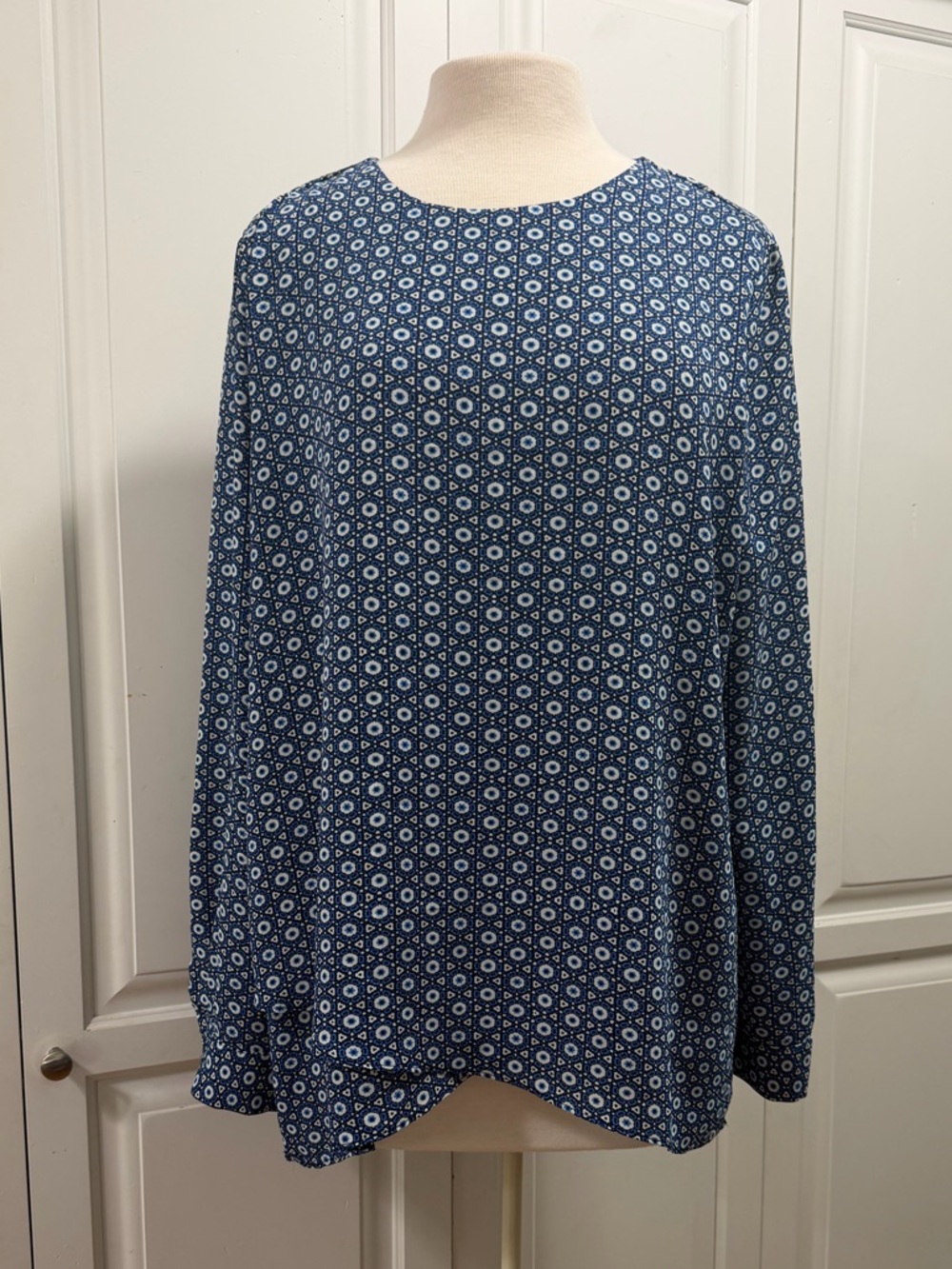 The Limited Long Sleeve Blouse